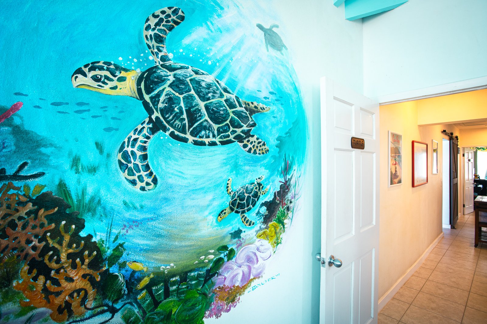 corals edge turtle mural